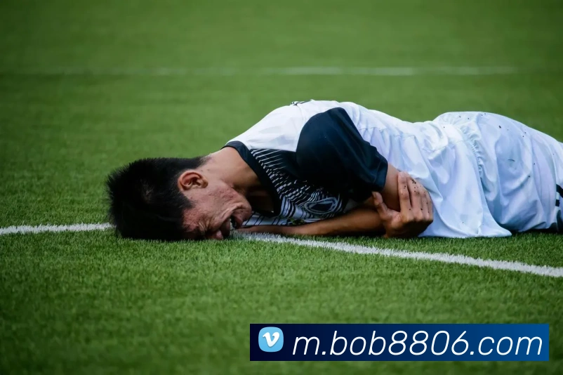 bob体育APP 封面图